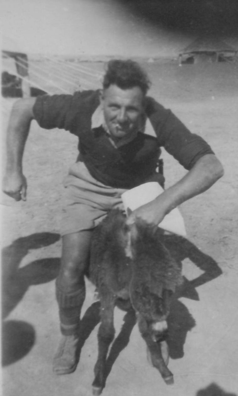 Ted Jnr on a donkey